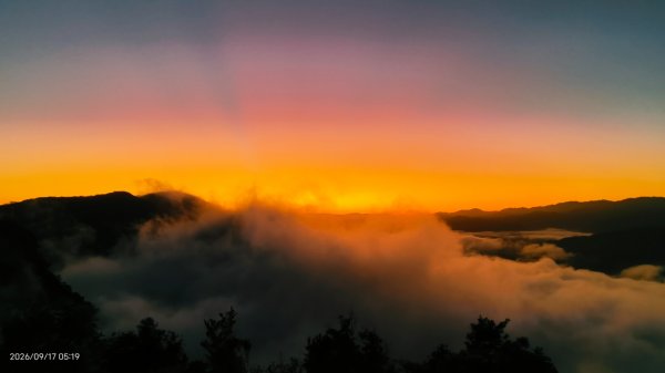 #翡翠水庫壩頂 #霞光 #日出 #雲海 9/173119420