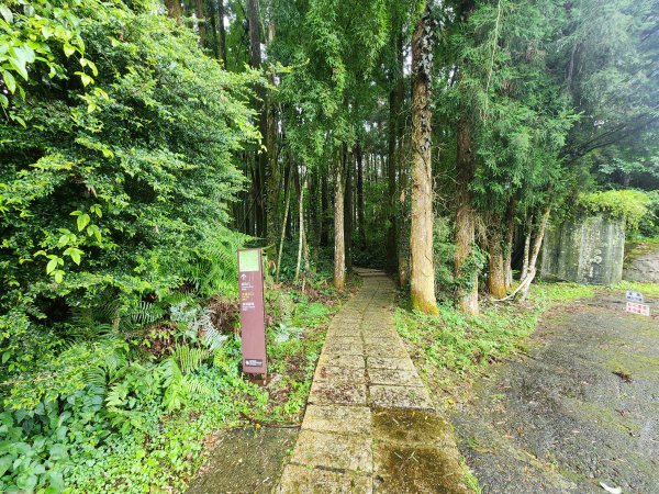 20250719頂湖上大凍山2907162