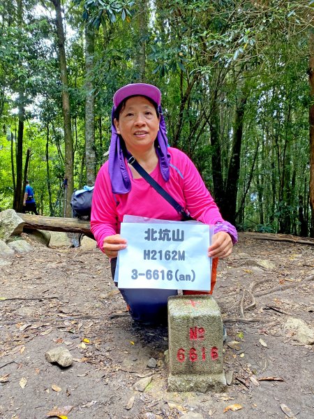 再訪雪見北坑山大板根 2020/9/51092532