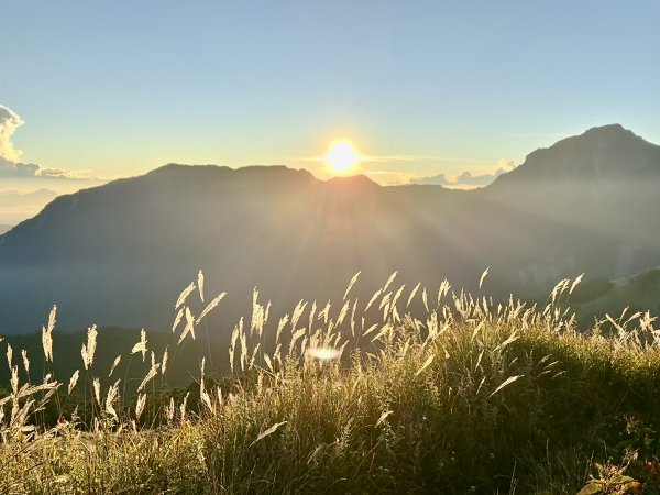 合歡東峰散步趣  2025.10.152923074