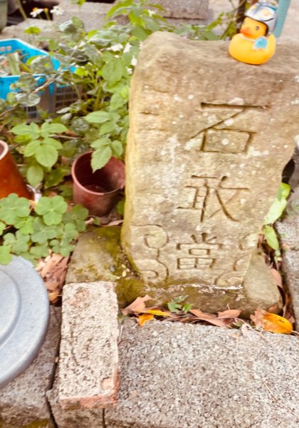 銀河洞越嶺貓空-新高麗坑山-銀獅縱走-猴山岳群峰+三條魚縱走2765356