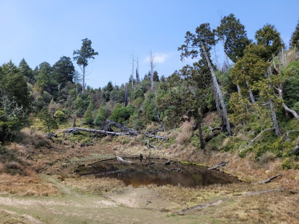 加羅湖、加羅山1321673