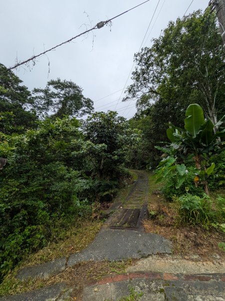 2025-05-17 三進三出九五峰 (象山、中華科大、麗山橋)2796913
