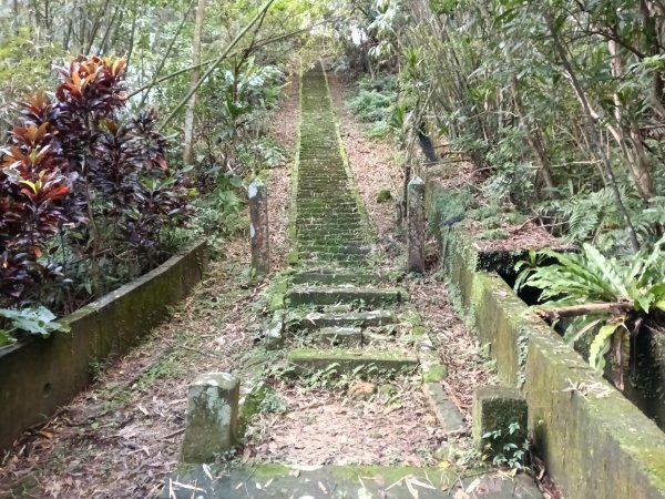雙溪區聖南寺朝山古道+大竹林山(未果)2963586