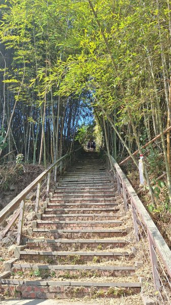 雲嘉大尖山(挑筍古道上)11502093045226