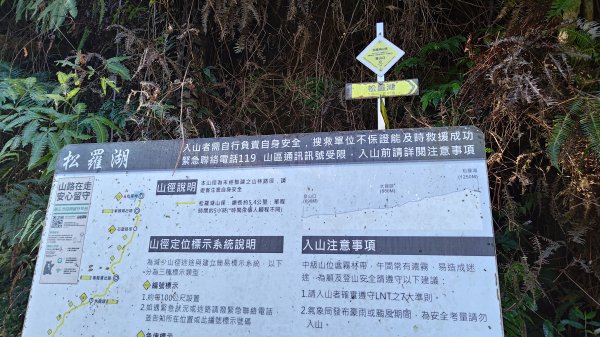 棲松縱走未竟2918304