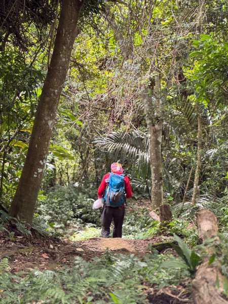 大艽芎古道縱走 新/溪州山(小百岳#23) 出溪州公園2893906