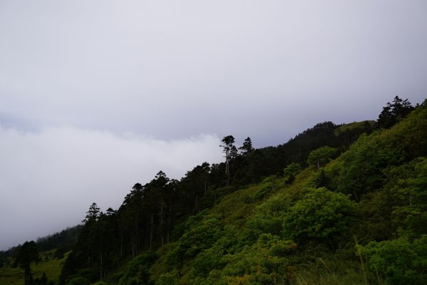 2018-08-03雪山主北431153