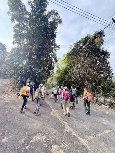 二尖.大尖山悠遊--好友再聚的茶園餘韻   2026.01.182985458