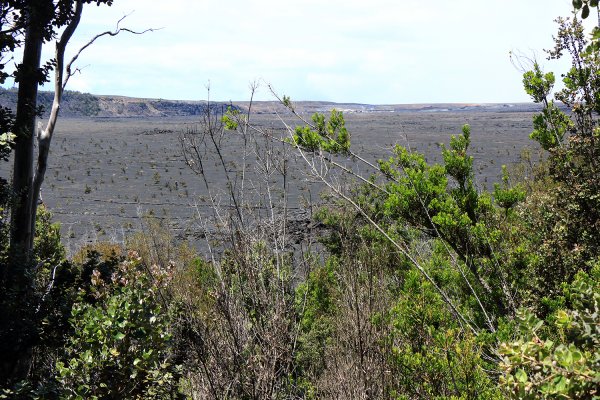 夏威夷火山國家公園613279