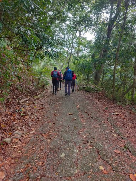 谷關七雄之東卯山1145394