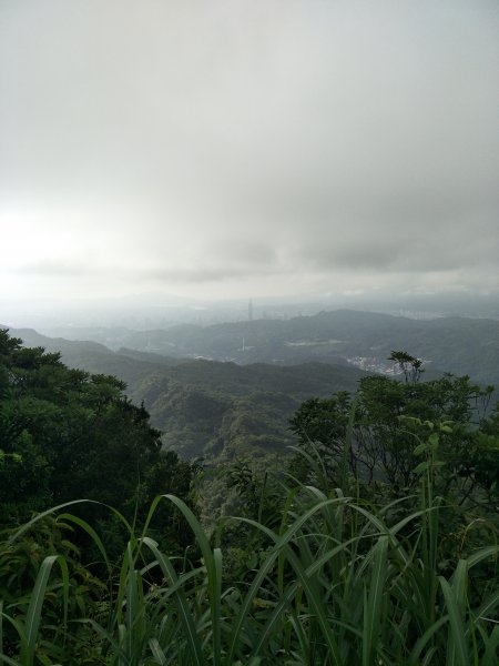 二格山登山步道(栳寮線)1703484