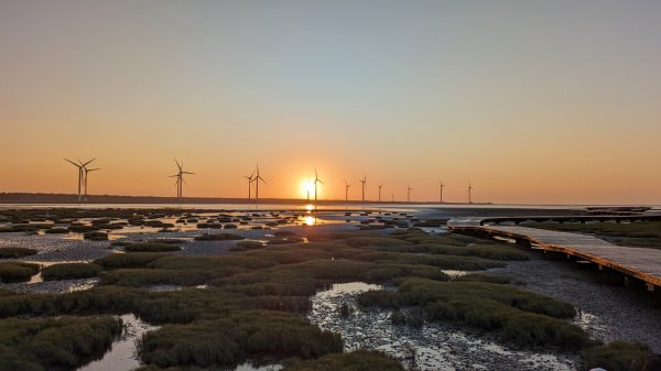 牛罵頭,梧棲出張所,高美濕地2334084