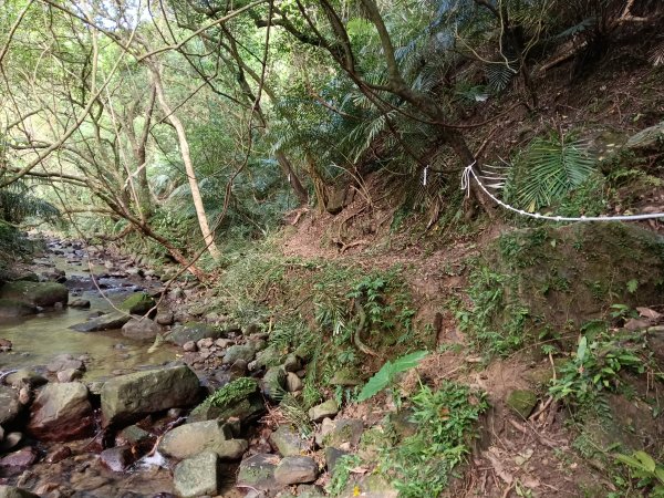 貢寮區龍洞坑古道+苦苓嶺+南雅山+海園古道O型2954610