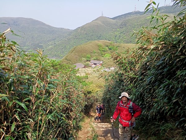 【臺北大縱走 3】小油坑→七星山主峰、東峰→冷水坑→冷擎步道→菁山吊橋→雞心崙→折返至冷水坑2093669