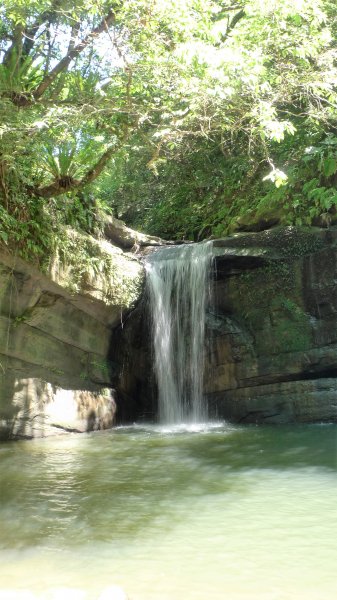 夏天就是要去涼爽的步道健行>>望古瀑布、嶺腳寮山(瀑布)步道1760614