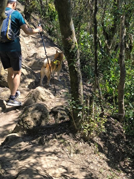 20251004微笑山線：【二格山系】筆架連峰段2904508
