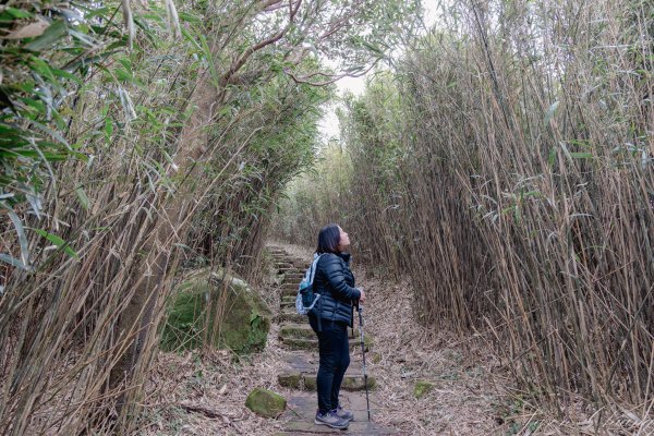 [台北]大屯山2693390