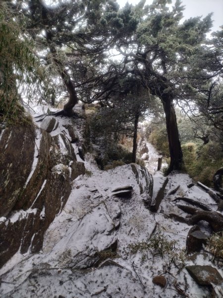 20250127_塔關山2706893