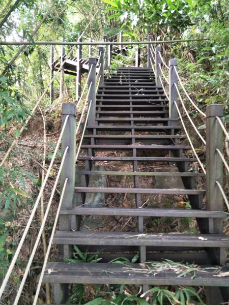 挑物古道(挑夫古道1490872