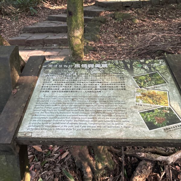 七星山苗圃路線2922628