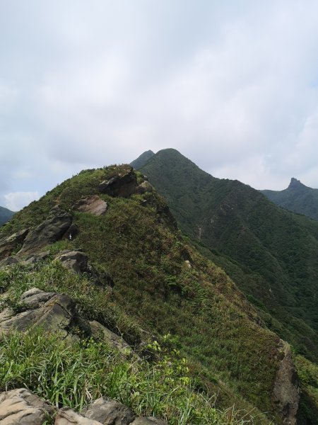 2022-04-24 南雅南新宮-劍龍稜-555峰-半屏山-燦光寮山-黃金博物館遊客中心1686691