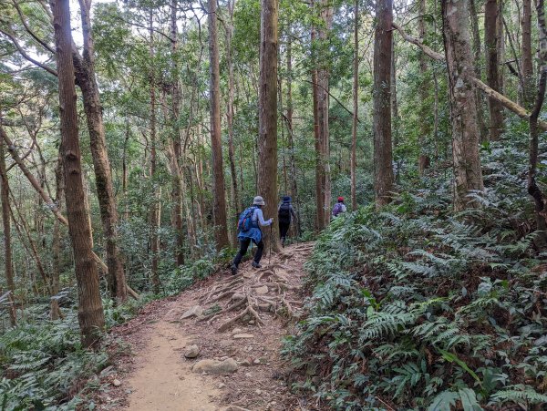 內鳥嘴山、北得拉曼步道2042886