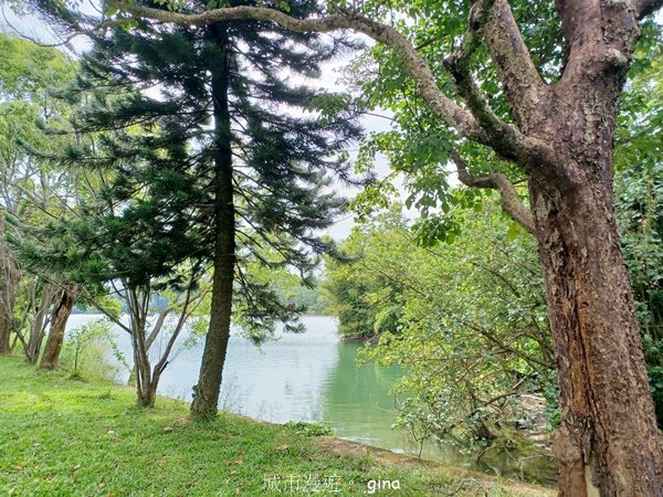 【新竹寶山】湖畔好風景。 寶山水庫環湖步道2377255