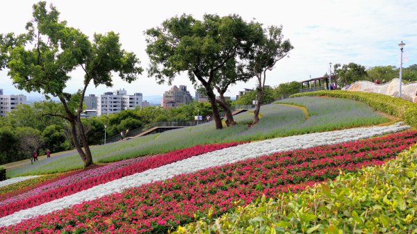 三層崎的呢喃2692138