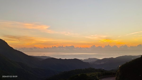 雲山水花鳥蝶 - 天龍國阿伯的日常7/18 & 21、22、292556650
