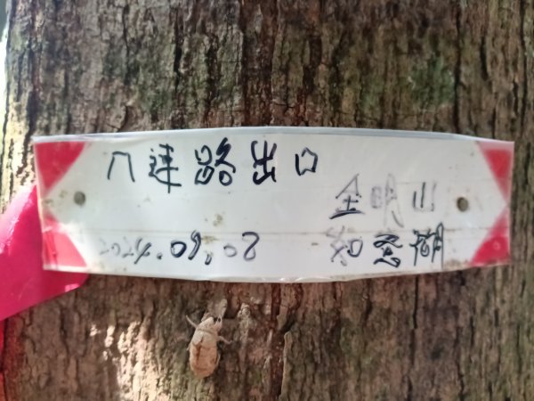 汐止區金明山B線+如意湖O型2860245