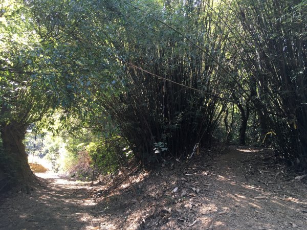 20210116-關刀山1238210