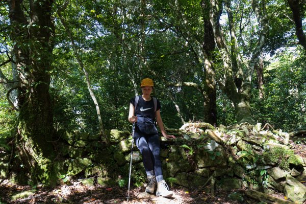 【秀巒-芝生毛台山】砲台遺址1030516