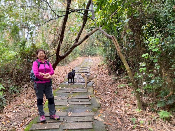 田中森林公園步道、赤水崎公園步道、花牆、龍過脈古蹟2750899