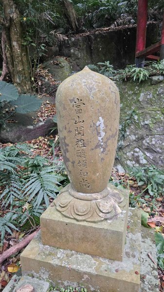 20260220大慈寺參拜道-四十基石-中正山-中正山東南峰3002833