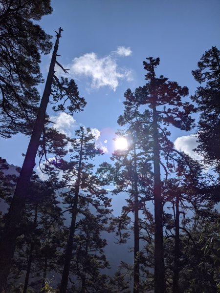 石瀑天梯 玉山前峰 870877