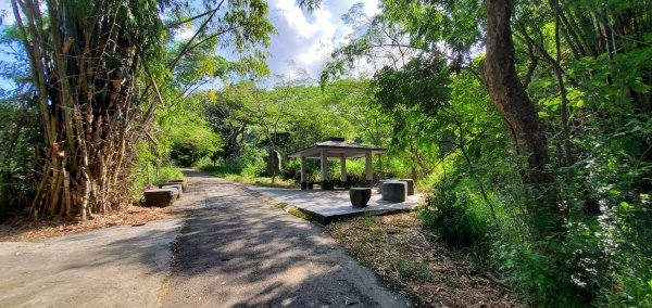 2021-10-16松柏坑山、田園茶香賞茶步道1492077