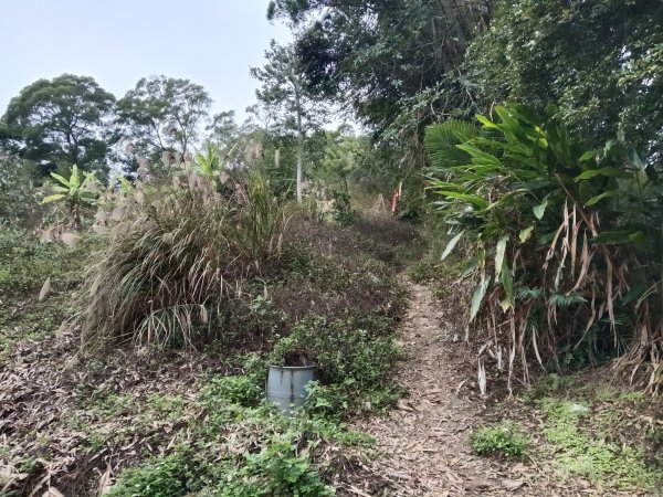 寶山鄉寶山水庫(寶山東峰+中峰+中西峰+西峰+西北峰)+尖山O型3012515