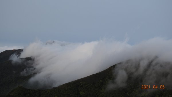 0405陽明山再見雲瀑，今年以來最滿意的一次1335460