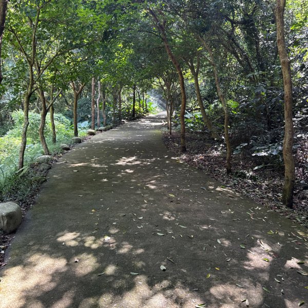 20250927 彰化－臺灣百大必訪步道坑內坑森林步道2969092