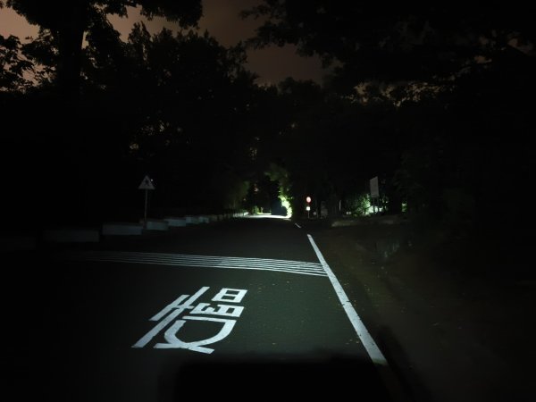 [漫遊縱谷 愛在花東-10/10] 2025_1012 美崙山步道2913582