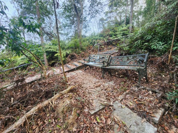 20260321貓頭山西關刀山能高瀑布O型3043789