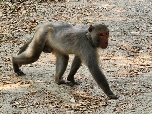 小百岳No.77⛰壽山3025162