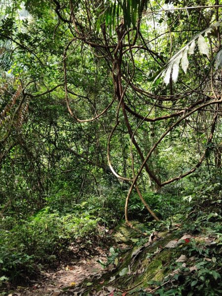 馬胎南坪古道2764743