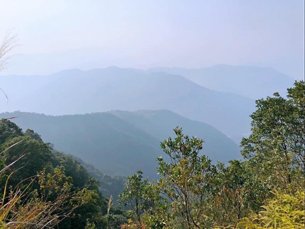 2021埔里六秀_ 關刀山、南東眼山1559738