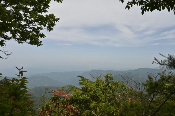 中級山-高島縱走2888377