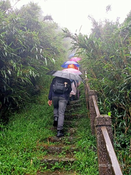 百拉卡公路人車分道、環七星山人車分道百拉卡公路入口站至冷水坑段、大港墘公園【走遍陽明山、健康大穀東】2307533