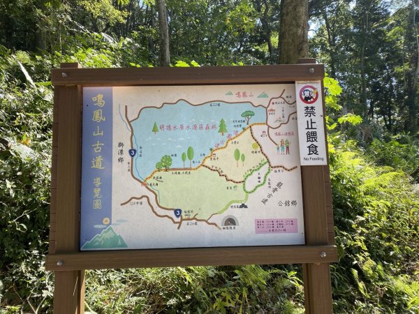 鳳鳴古道3060580