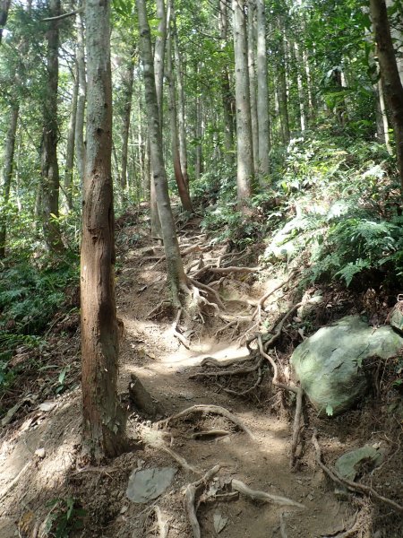 有點挑戰性的高島縱走~1350651