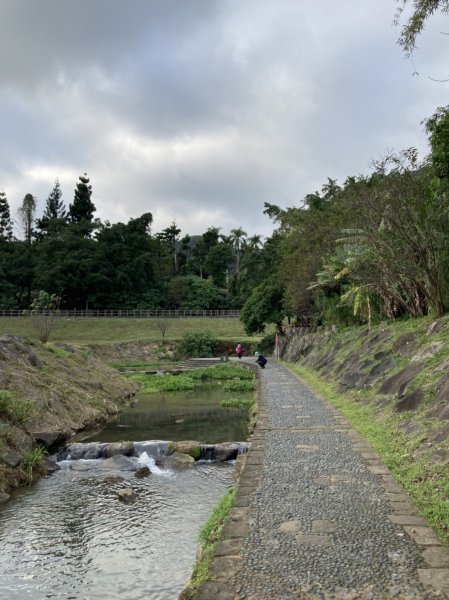 【臺北大縱走 4】【南山神壽任務尋寶趣】美拍花團錦簇的大溝溪溪畔步道1574051